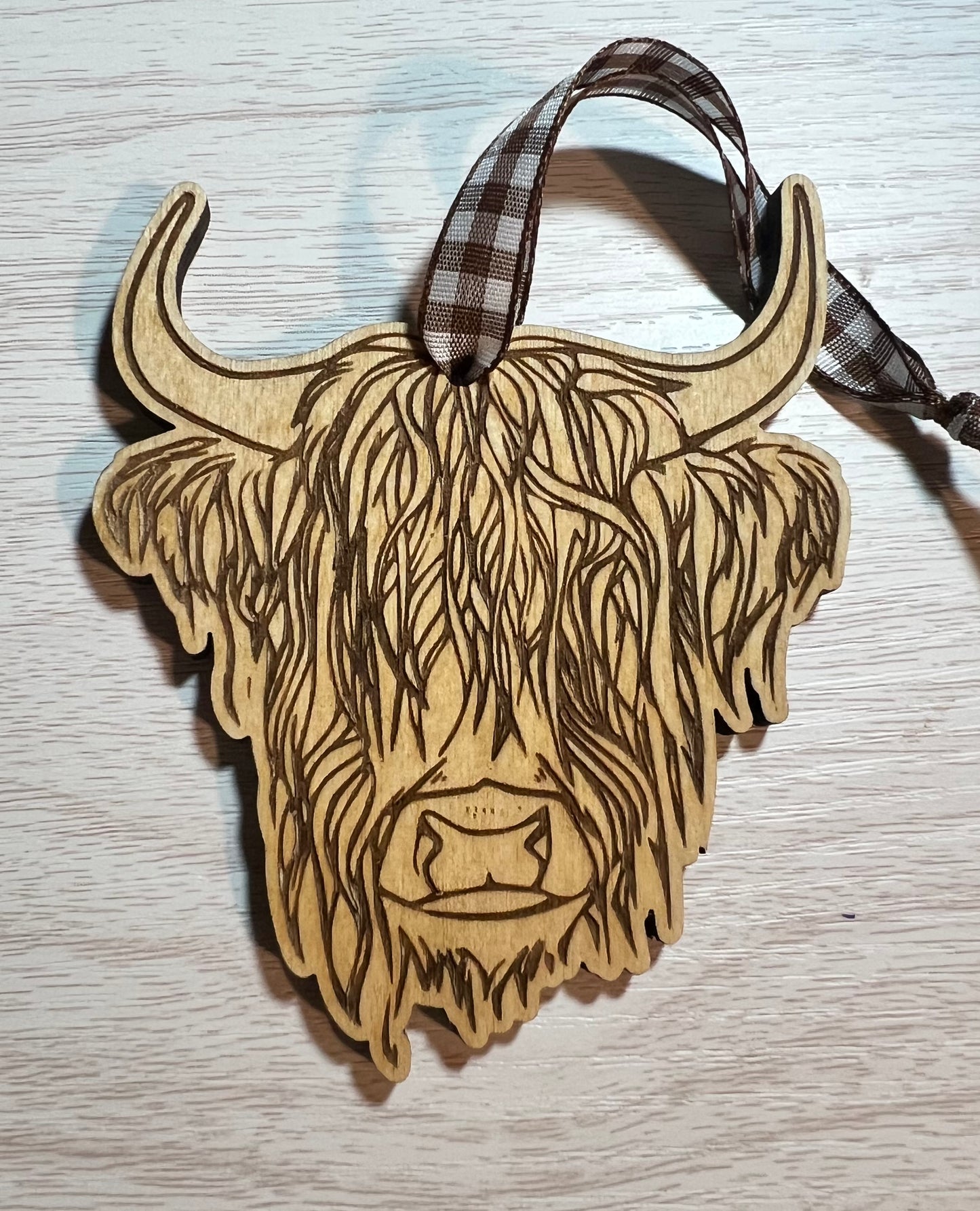 Highland Cow