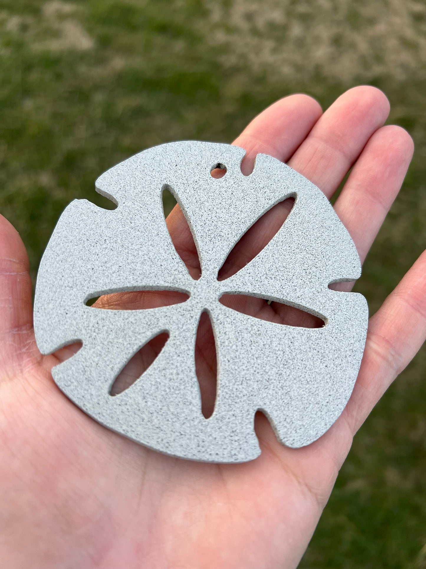 Sand Dollar