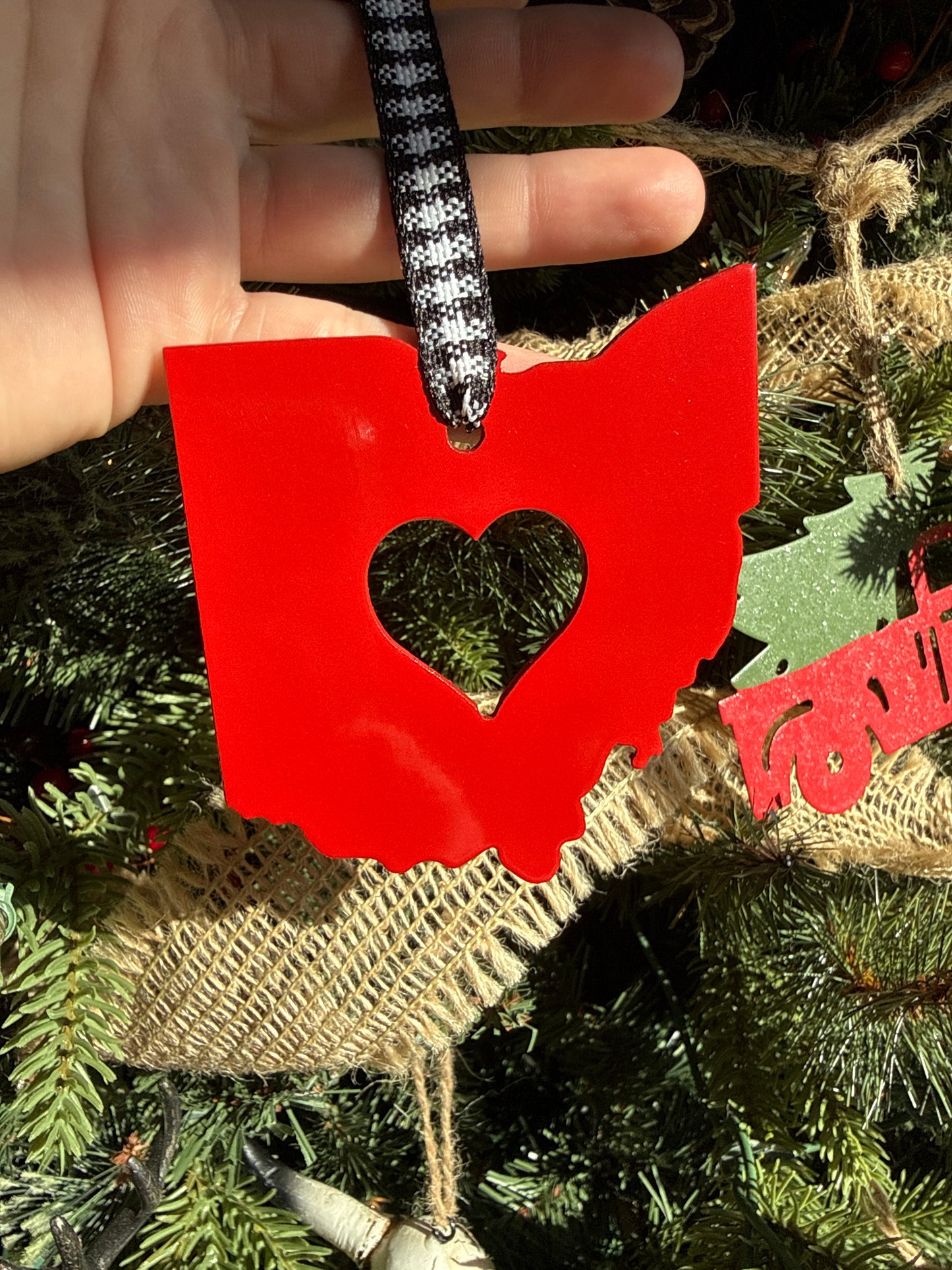 Ohio with Heart