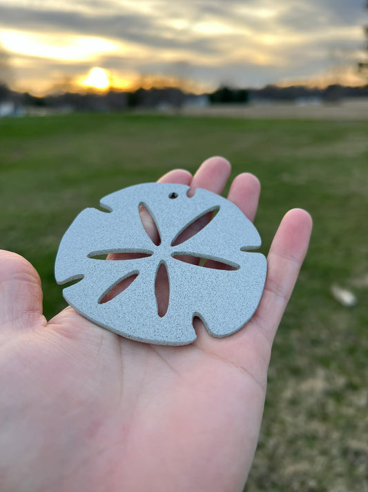 Sand Dollar